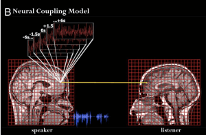 neurocouplingmodel