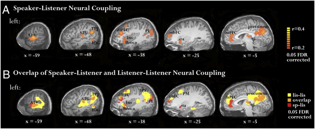 neurocouplingmodel_AB
