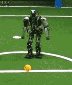 bot